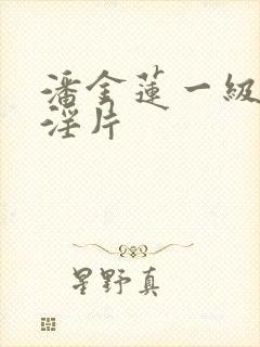 潘金莲一级裸体淫片