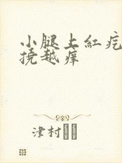 小腿上红疙瘩越挠越痒