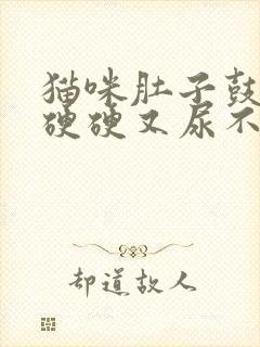 猫咪肚子鼓鼓的硬硬又尿不出怎么回事