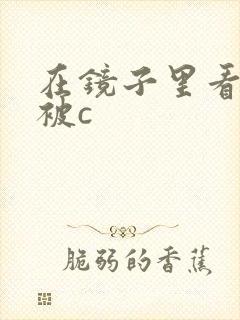 在镜子里看自己被c