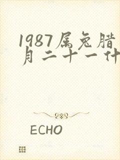 1987属兔腊月二十一什么命运