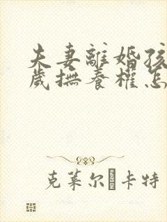 夫妻离婚孩子一岁抚养权怎么判定