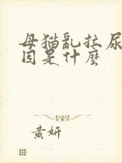 母猫乱拉尿的原因是什么