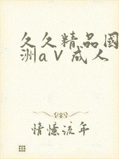 久久精品国产亚洲a∨成人