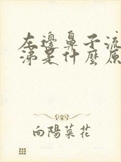 左边鼻子流清鼻涕是什么原因