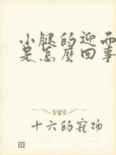 小腿的迎面骨疼是怎么回事呢封面