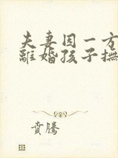 夫妻因一方出轨离婚孩子抚养权怎么判定