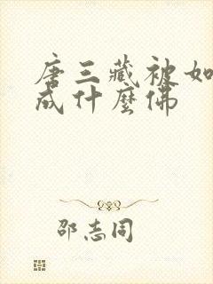 唐三藏被如来封成什么佛