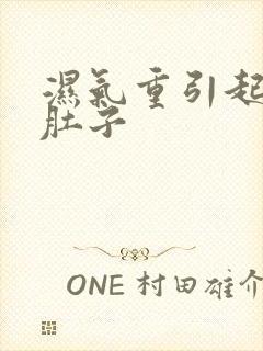 湿气重引起的大肚子封面