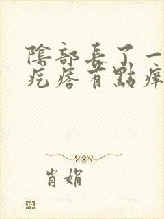 阴部长了一个小疙瘩有点痒怎么回事封面