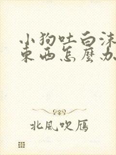 小狗吐白沫不吃东西怎么办