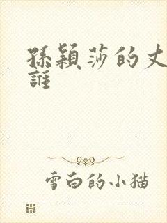 孙颖莎的丈夫是谁