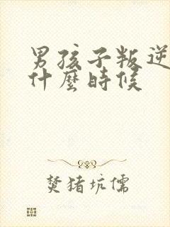 男孩子叛逆期是什么时候封面