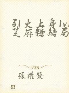 引火上身1v1芝麻糖结局封面