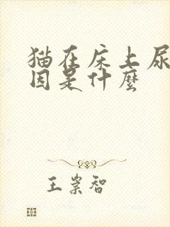 猫在床上尿的原因是什么封面