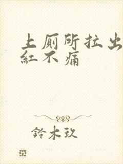 上厕所拉出血鲜红不痛