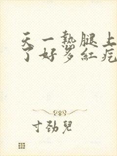 天一热腿上就起了好多红疙瘩很痒