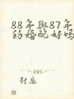 88年与87年的婚配好吗封面