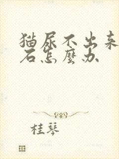 猫尿不出来尿结石怎么办