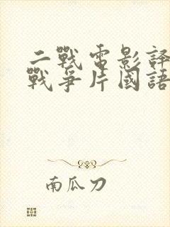 二战电影译制片战争片国语