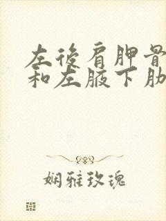 左后肩胛骨下面和左腋下肋骨隐隐作痛封面