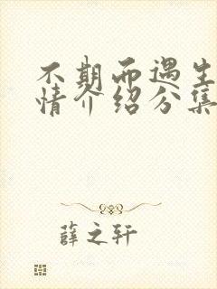 不期而遇生活剧情介绍分集