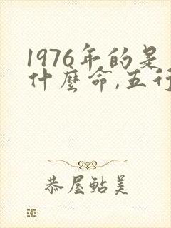 1976年的是什么命,五行属性是什么意思