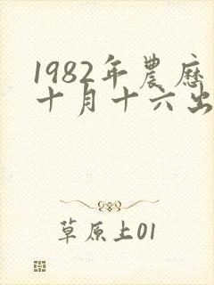 1982年农历十月十六出生的人命运如何