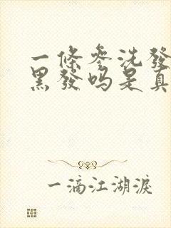 一条参洗发水能黑发吗是真的吗