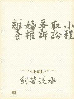 离婚争取小孩抚养权诉讼程序封面