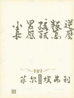 小男孩叛逆期家长应该怎么办