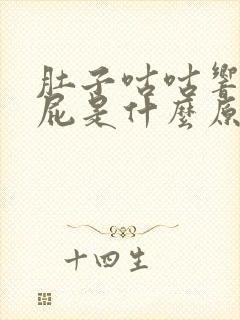 肚子咕咕响还放屁是什么原因