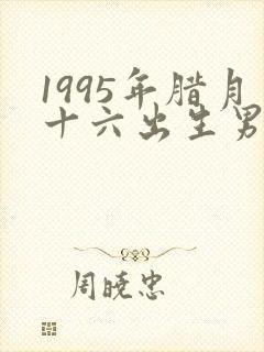 1995年腊月十六出生男孩命运封面