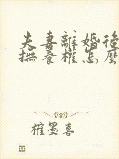 夫妻离婚后孩子抚养权怎么判