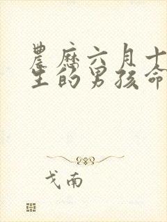 农历六月十八出生的男孩命运封面