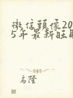 微信头像2025年最新旺财旺运头像