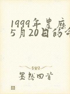 1999年农历5月20日的命运