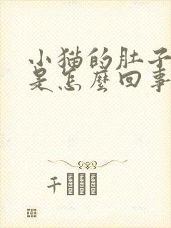 小猫的肚子很大是怎么回事