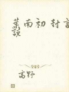 叶南初 封言小说
