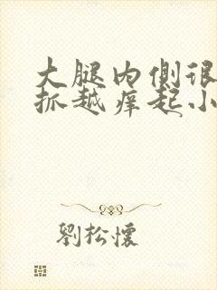 大腿内侧很痒越抓越痒起小疙瘩