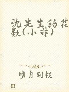 沈先生的花式调数(小非)