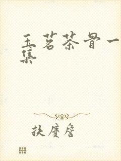 玉茗茶骨一共几集封面