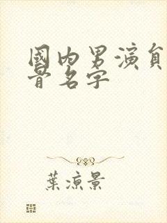 国内男演员老戏骨名字