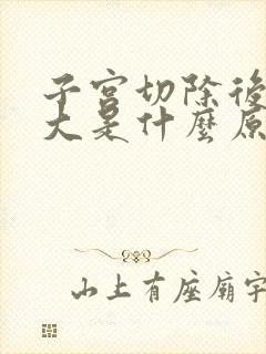 子宫切除后肚子大是什么原因造成的