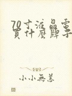 70寸液晶电视买什么牌子的好