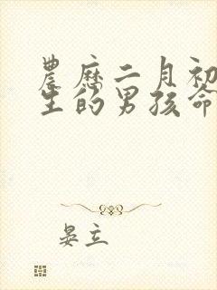 农历二月初五出生的男孩命运封面