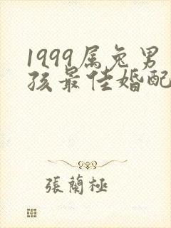 1999属兔男孩最佳婚配属相