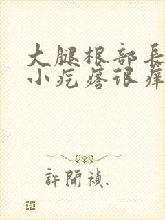 大腿根部长一片小疙瘩很痒封面