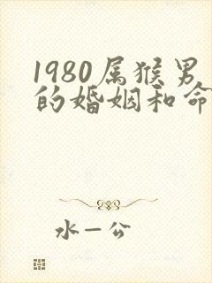 1980属猴男的婚姻和命运封面