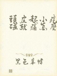 头皮起小疙瘩一碰就痛怎么办封面